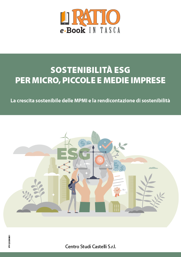 Sostenibilità ESG per micro, piccole e medie imprese